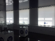 IMG_8755.JPG
