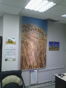 IMG_6995.JPG