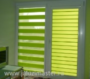 zebra_uni
