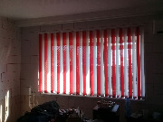 IMG_3737.JPG